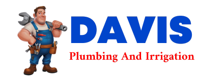 Trusted plumber in WILLS POINT